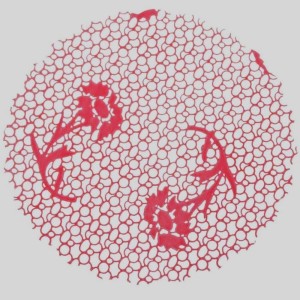 FUNDO TRANSP. DEC. Nº7 C/100 - RENDA VERMELHO