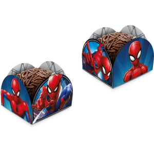 PORTA FORMA SPIDER MAN ANIMACAO COM 50 REGINA