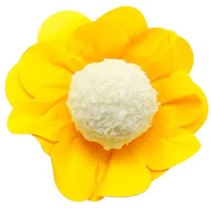 NEW STYLE FORMINHA AMARELO COLOR CONCEPTS