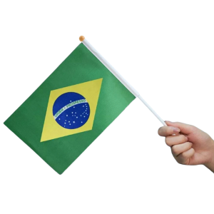 KIT 10 BANDEIRINHAS DE MÃO COM HASTE BRASIL - KIN FESTAS