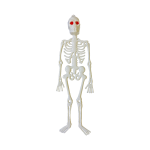 ESQUELETO BRANCO HALLOWEEN - 8CM X 24CM X 2CM - KIN FESTAS